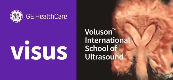VISUS 2026: Focus on Gynecology